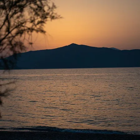 Next To The Waves! Villa